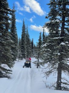 Alaska Snowmobile Tours Anchorage Guided Backcountry nature
