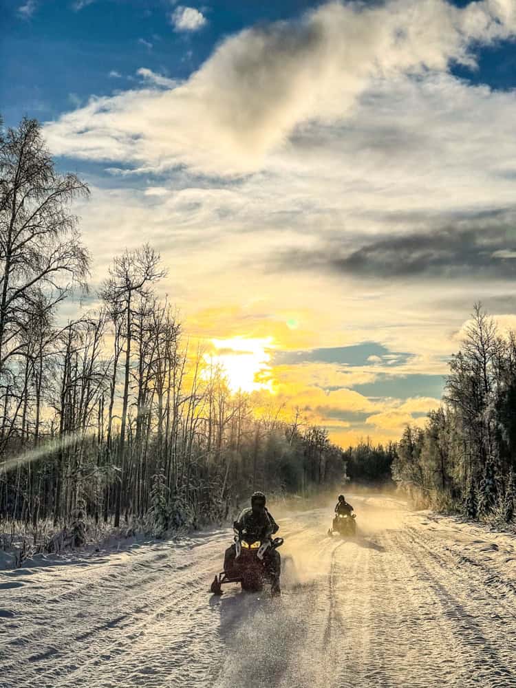 Alaska Snowmobile Tours Anchorage Guided Backcountry Wildlife